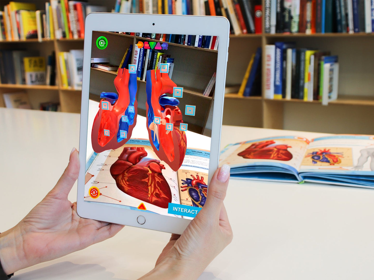 Pachet Promo Anatomie