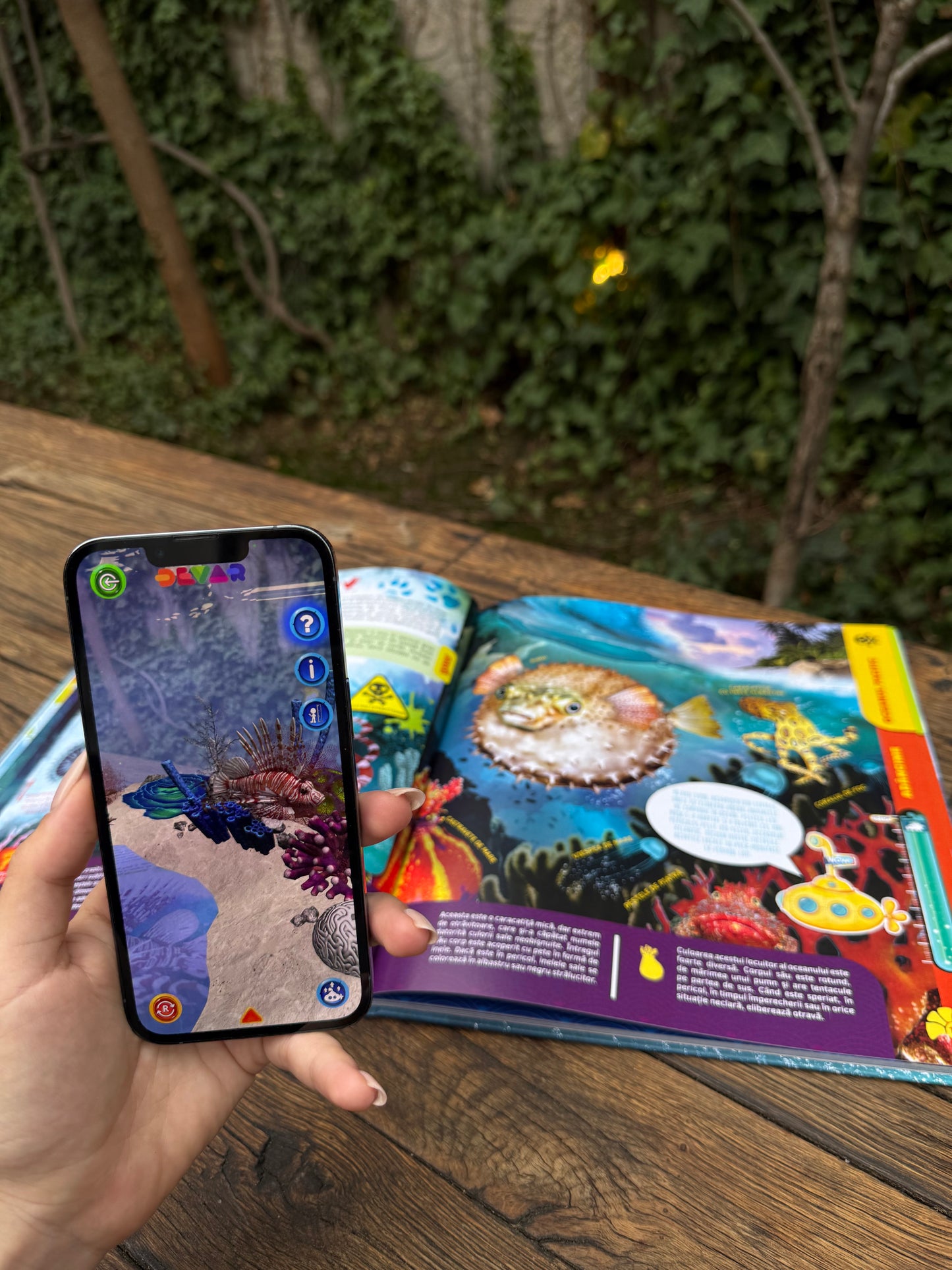 Pachet Promo 5 Enciclopedii